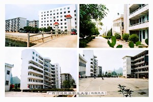 河池民族职业大学校园风光