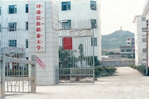 河池民族职业大学校门