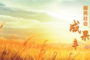 服务社会成果丰